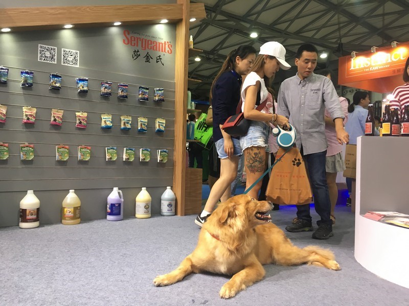 莎金氏亚宠展7
